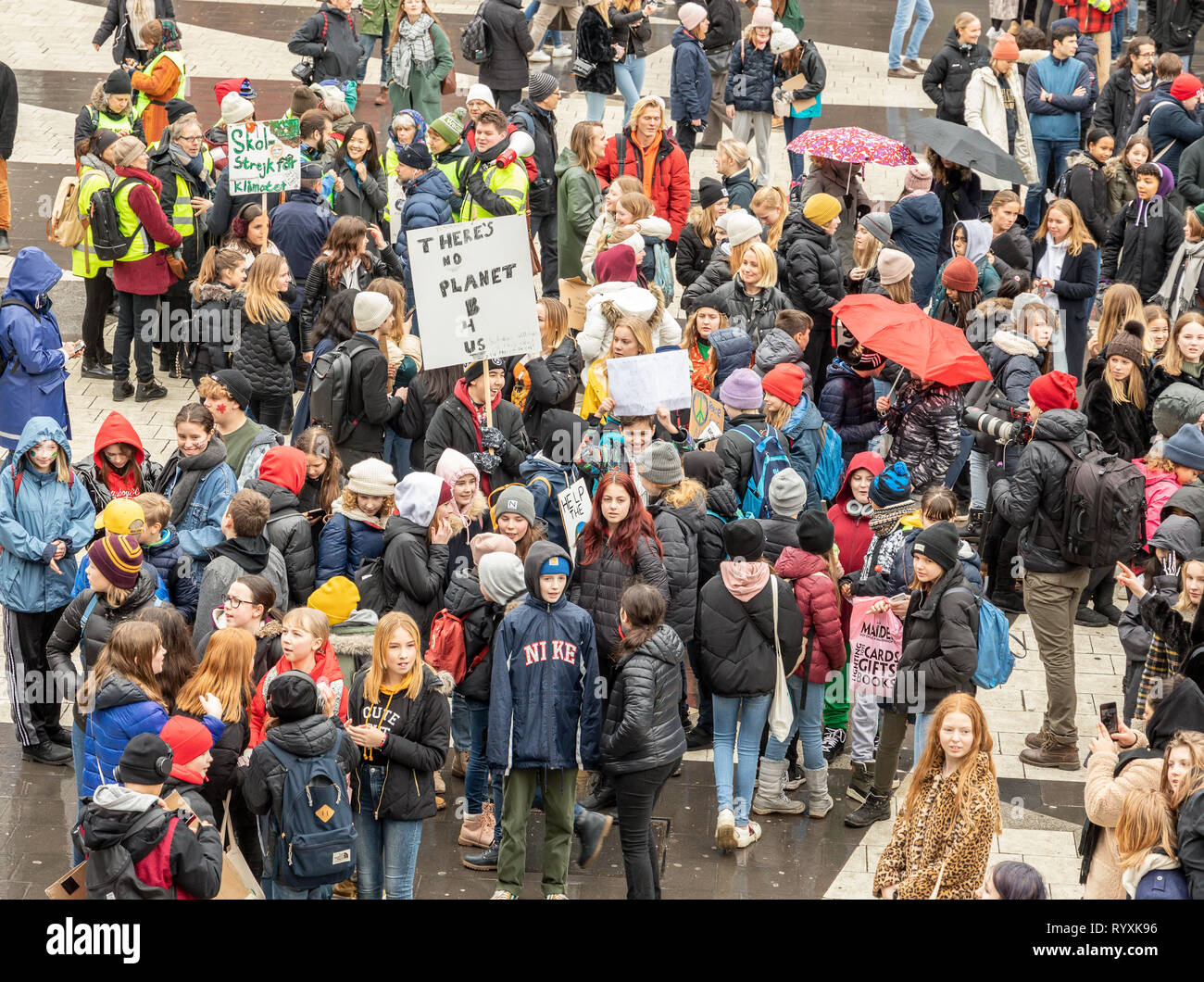Stoccolma, Svezia. Il 15 marzo, 2019. Gli attivisti del clima la giunzione 16-anno-vecchio svedese Thunberg Greta per la scuola sciopero e manifestazione del clima. Credito: Per Grunditz/Alamy Live News Foto Stock