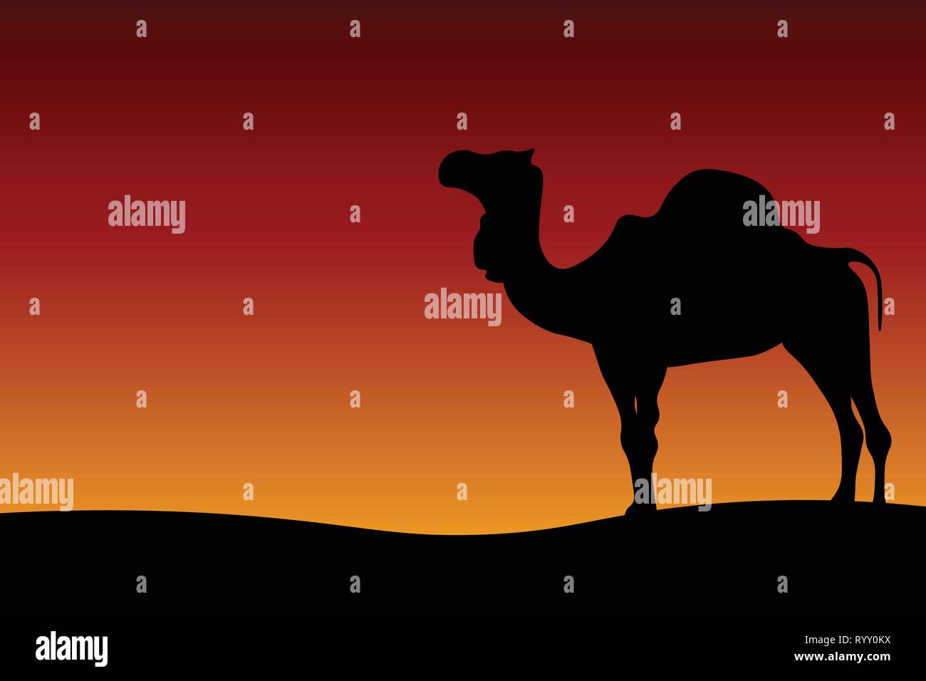 Silhouette di cammello - tramonto nel deserto Illustrazione Vettoriale