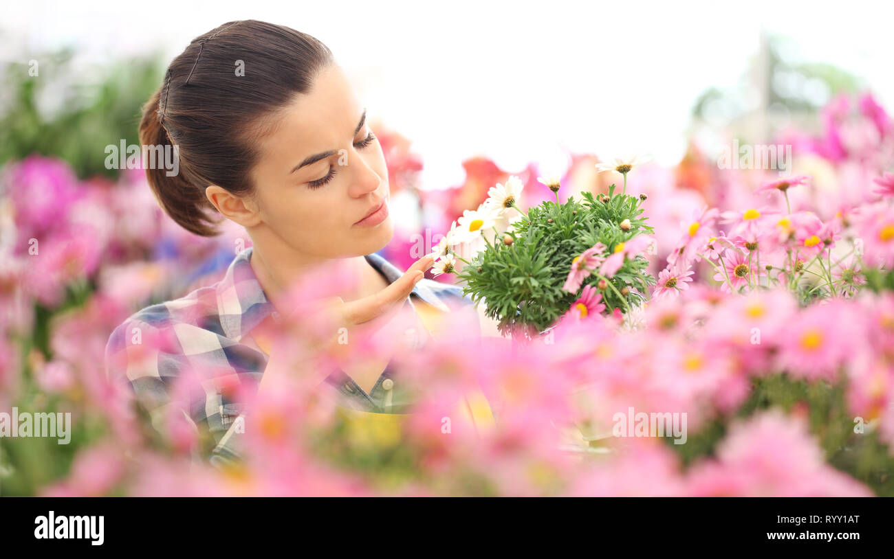 La donna nel giardino di fiori margherite toccare daisy, concetto di primavera Foto Stock