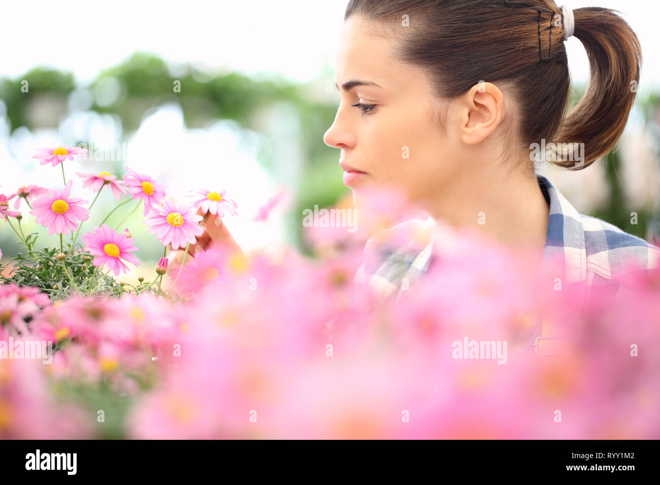 Concetto di primavera, donna nel giardino di fiori di margherite, close up Foto Stock