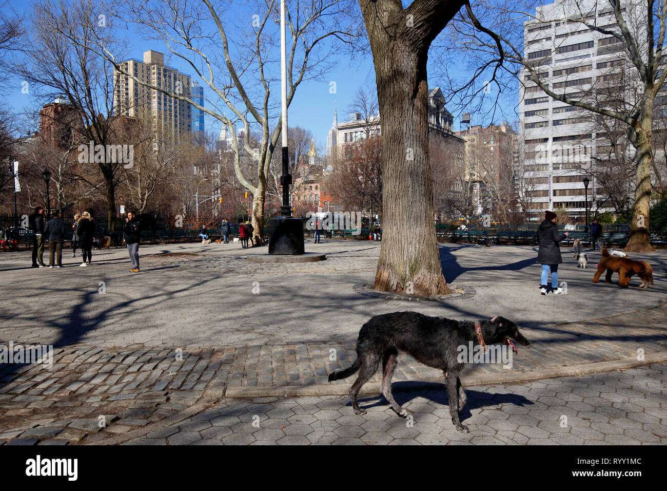 La Stuyvesant Square Park urban dog run a Manhattan, New York City Foto Stock