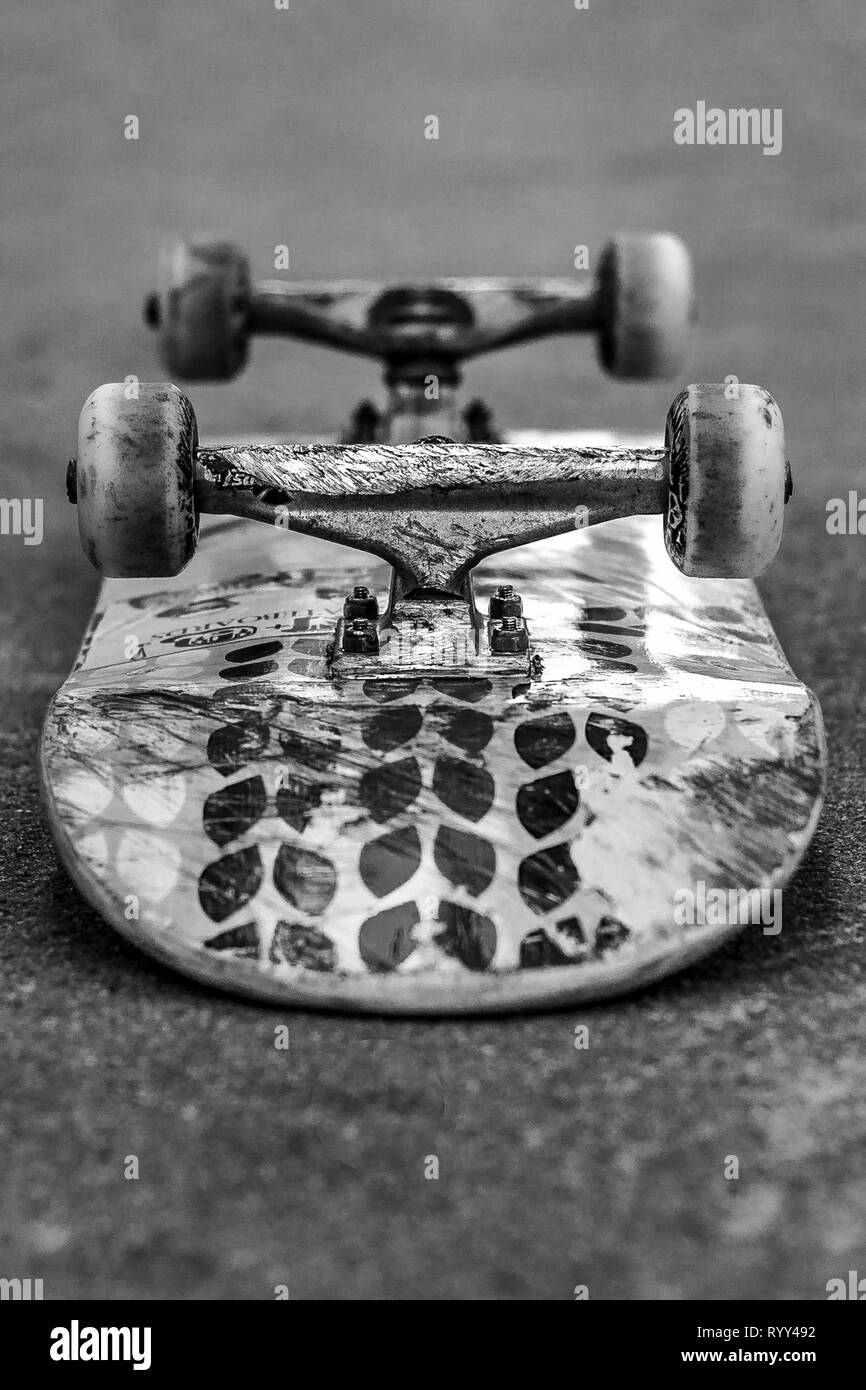 Skateboard in bianco e nero - Immagine in bianco e nero - Deck, carrello e ruote - Immagine Foto Stock