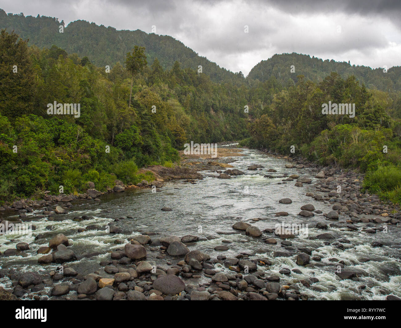 Whakapapa Fiume e Foresta di Tongariro, a Owhango, un giorno di pioggia in estate, Ruapehu District, Nuova Zelanda Foto Stock