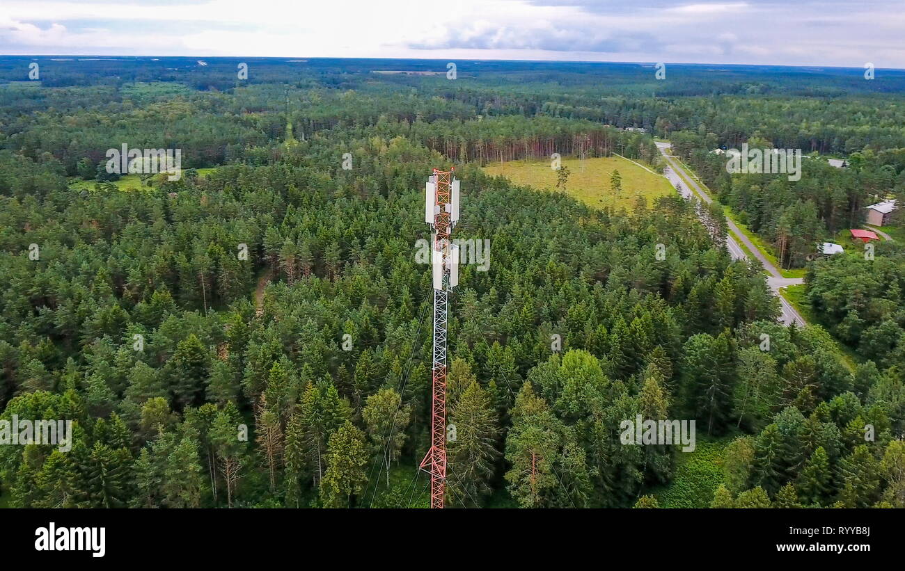 Sguardo ravvicinato della punta della torre GSM essendo circondata da alti alberi della foresta Foto Stock