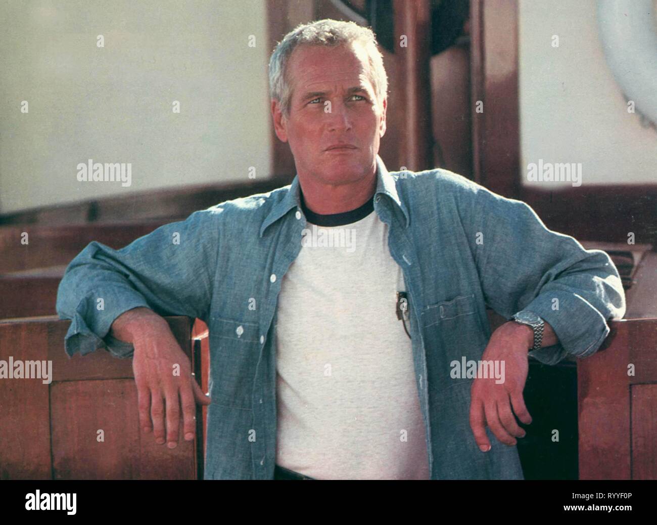 PAUL NEWMAN, mancanza di dolo, 1981 Foto Stock