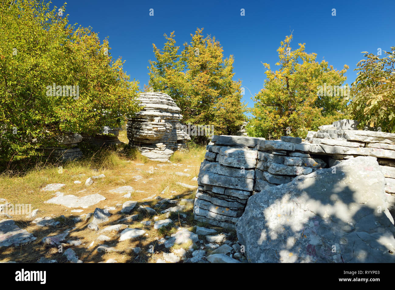 La foresta di pietra, formazione rocciosa naturale, creato da più strati di pietra, situato vicino al villaggio di Monodendri Zagori nella regione, Epiro, nel nord della Grecia. Foto Stock