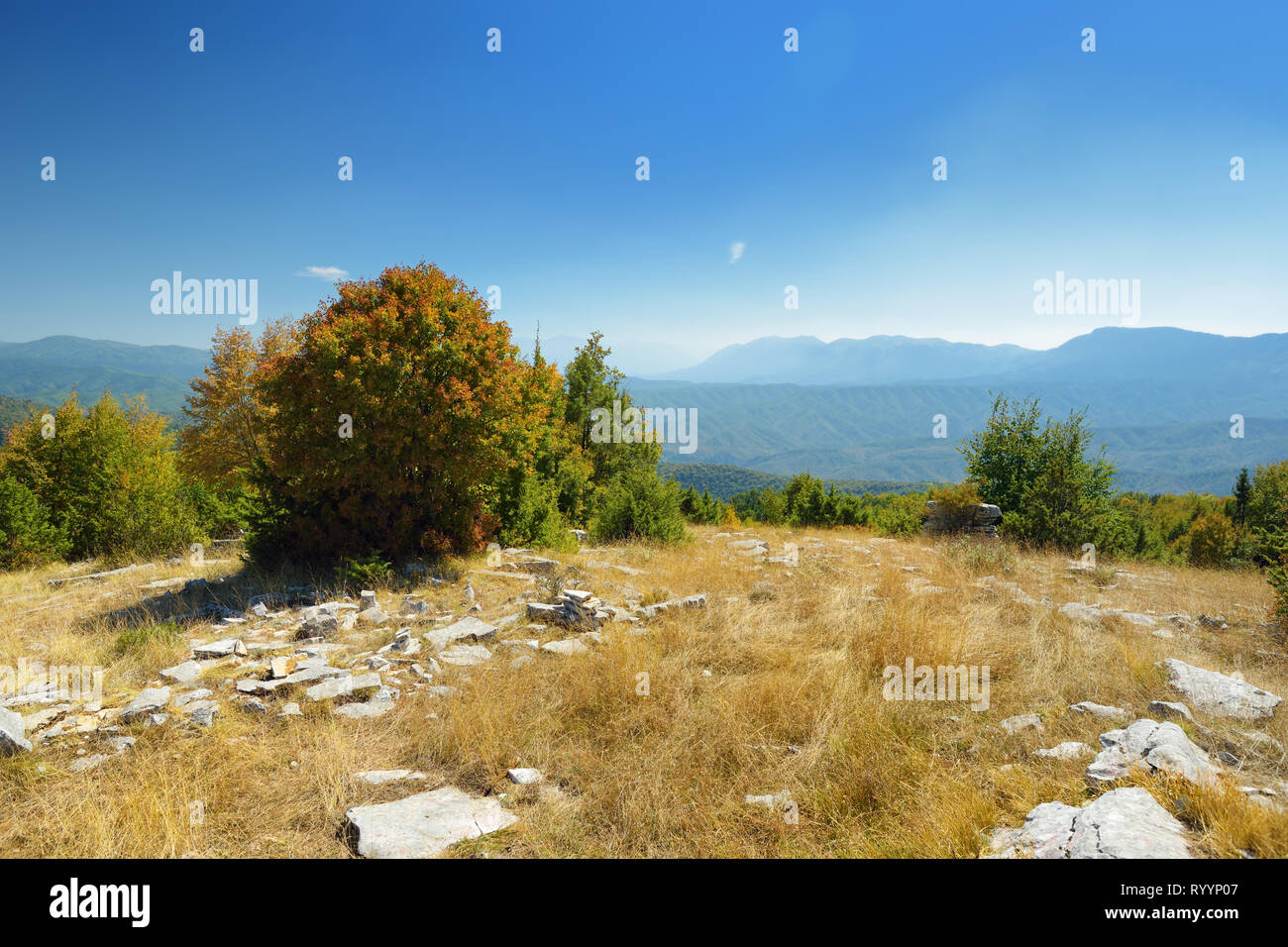 La foresta di pietra, formazione rocciosa naturale, creato da più strati di pietra, situato vicino al villaggio di Monodendri Zagori nella regione, Epiro, nel nord della Grecia. Foto Stock