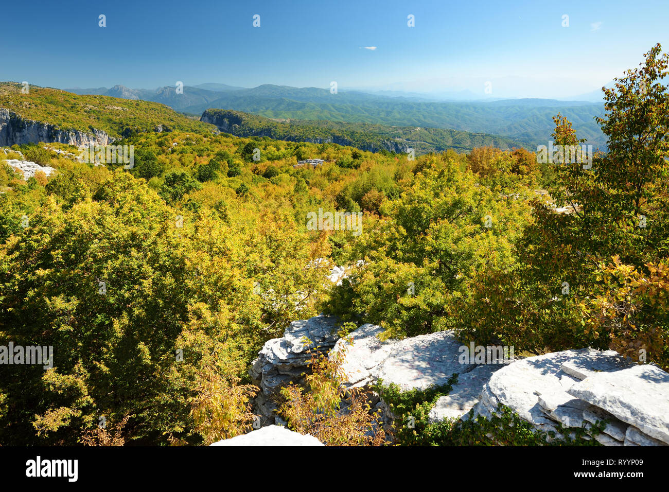 La foresta di pietra, formazione rocciosa naturale, creato da più strati di pietra, situato vicino al villaggio di Monodendri Zagori nella regione, Epiro, nel nord della Grecia. Foto Stock