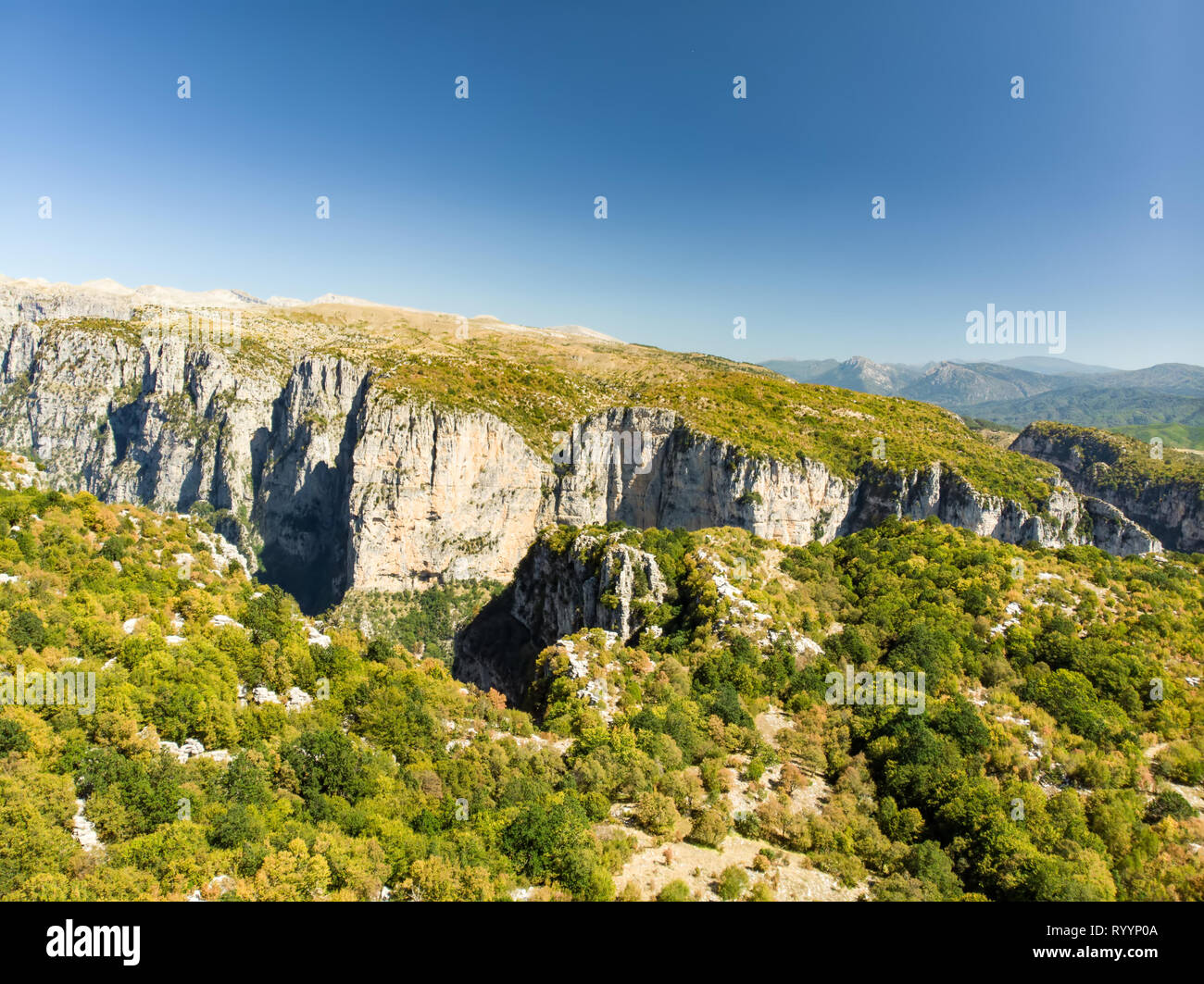 La foresta di pietra, formazione rocciosa naturale, creato da più strati di pietra, situato vicino al villaggio di Monodendri Zagori nella regione, Epiro, nel nord della Grecia. Foto Stock