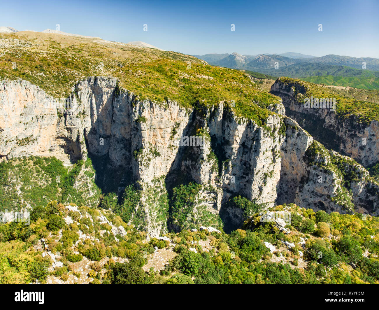 La foresta di pietra, formazione rocciosa naturale, creato da più strati di pietra, situato vicino al villaggio di Monodendri Zagori nella regione, Epiro, nel nord della Grecia. Foto Stock