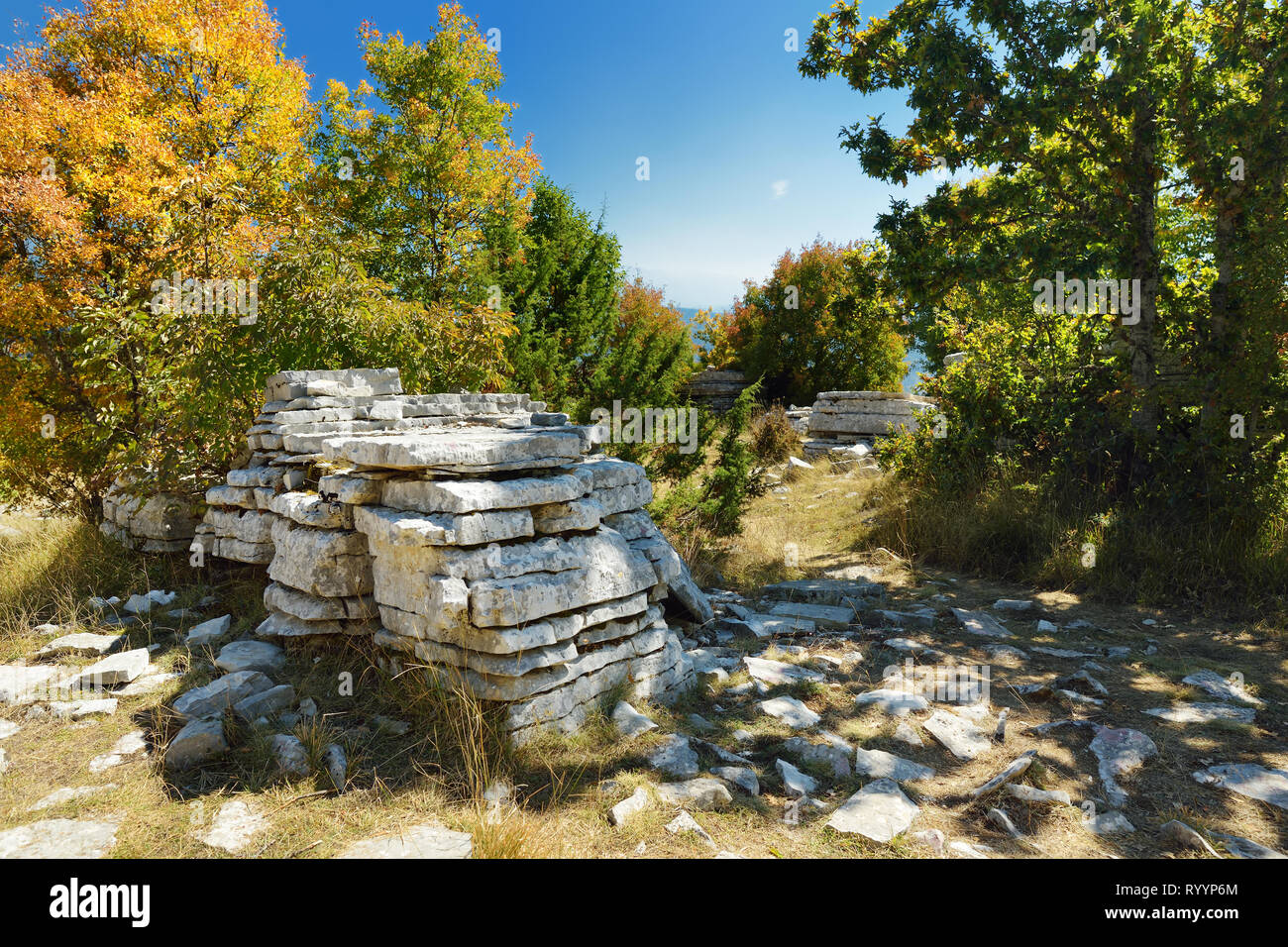 La foresta di pietra, formazione rocciosa naturale, creato da più strati di pietra, situato vicino al villaggio di Monodendri Zagori nella regione, Epiro, nel nord della Grecia. Foto Stock