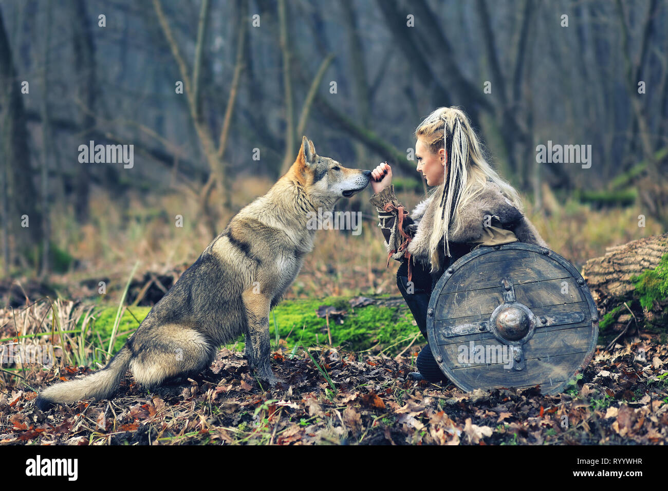 Bella viking warrior woman in tradizionali abiti del guerriero, con ax e la protezione, accanto ad un lupo selvatico Foto Stock