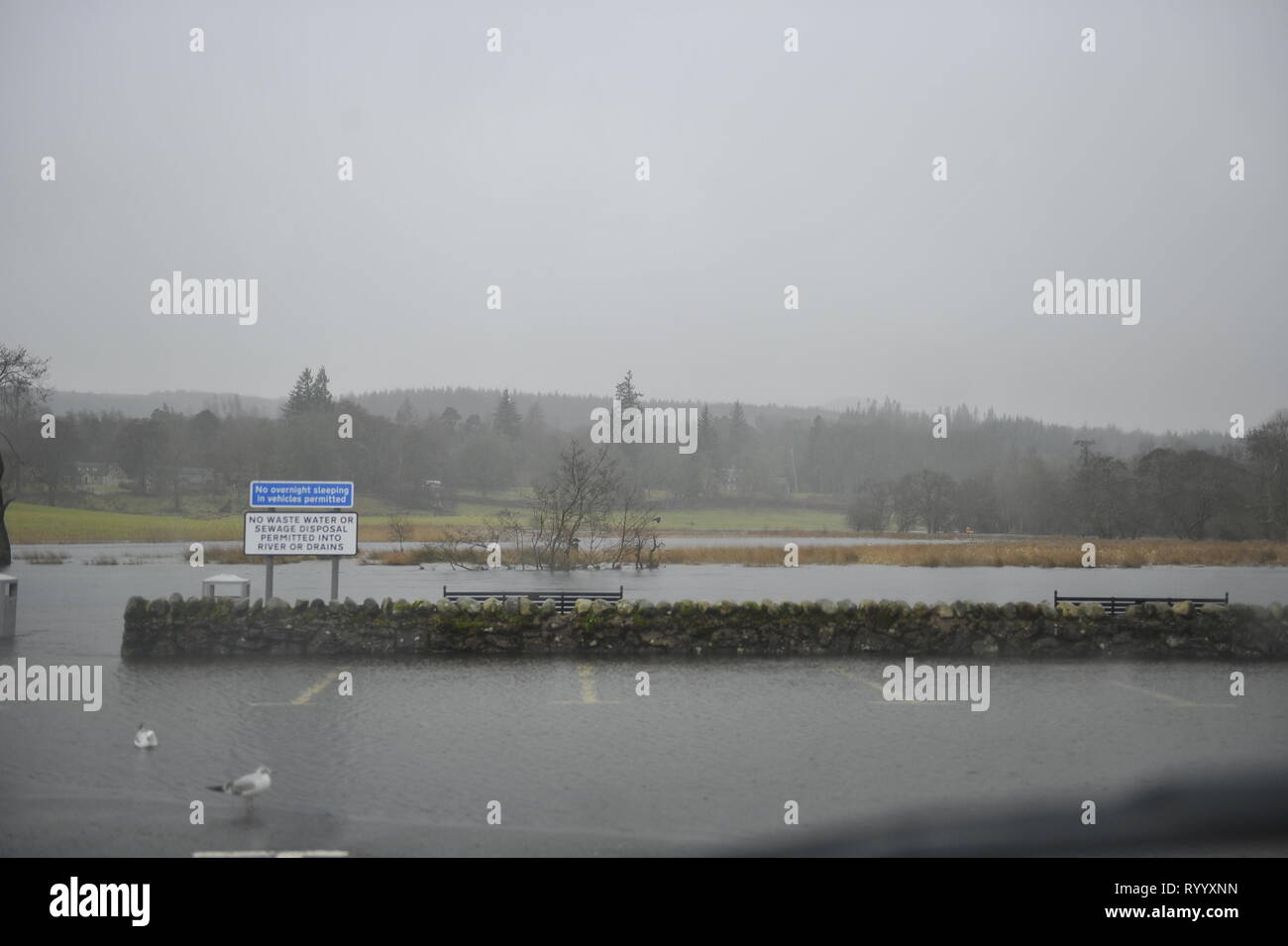 Glasgow, Regno Unito. Il 15 marzo 2019. Conseguenze della tempesta Hannah - La pittoresca cittadina Scozzese di Callander è visto a fianco del fiume che ha scoppiare le sue banche con il diluvio di acqua che è scesa negli ultimi giorni. Normalmente le piccole e fiume che scorre gentilmente è stato trasformato in una vasta fascia di veloce che scorre acqua profonda. Quasi tutto il parcheggio e Riverside, bambini Parco giochi è tutto sotto l'acqua. Ulteriori fino al fiume, i laghi hanno sommerso di alberi e recinzioni e sono quasi scoppiare le loro banche, lasciando il bestiame bloccato. Credito: Colin Fisher/Alamy Live News Foto Stock