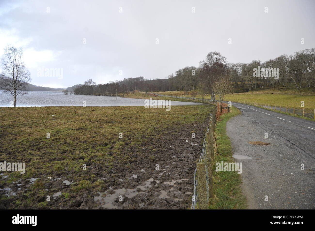 Il Trossachs, UK. Il 15 marzo 2019. Conseguenze della tempesta Hannah - Scene di Loch Achray nel Trossachs vicino alla città di Callander. I campi, le recinzioni e gli alberi o sotto l'acqua, o parzialmente sommerso. Il terreno fangoso è saturato con acqua. Il livello delle acque del lago è quasi fino a lato strada al piano terra inferiore. Il fiume che scorre fuori del loch ha anche il suo burst banche e invaso parte del territorio della città di Callander a poche miglia di distanza. Credito: Colin Fisher/Alamy Live News Foto Stock