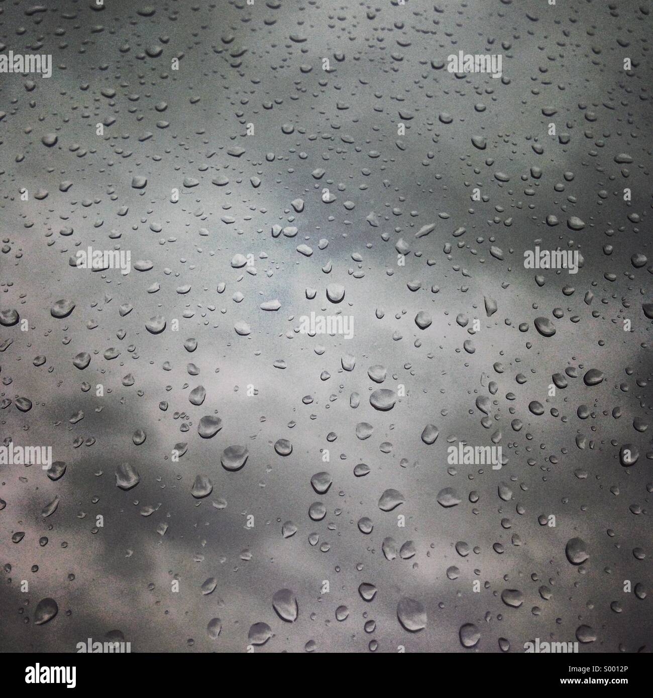Gocce di pioggia su una finestra Foto Stock