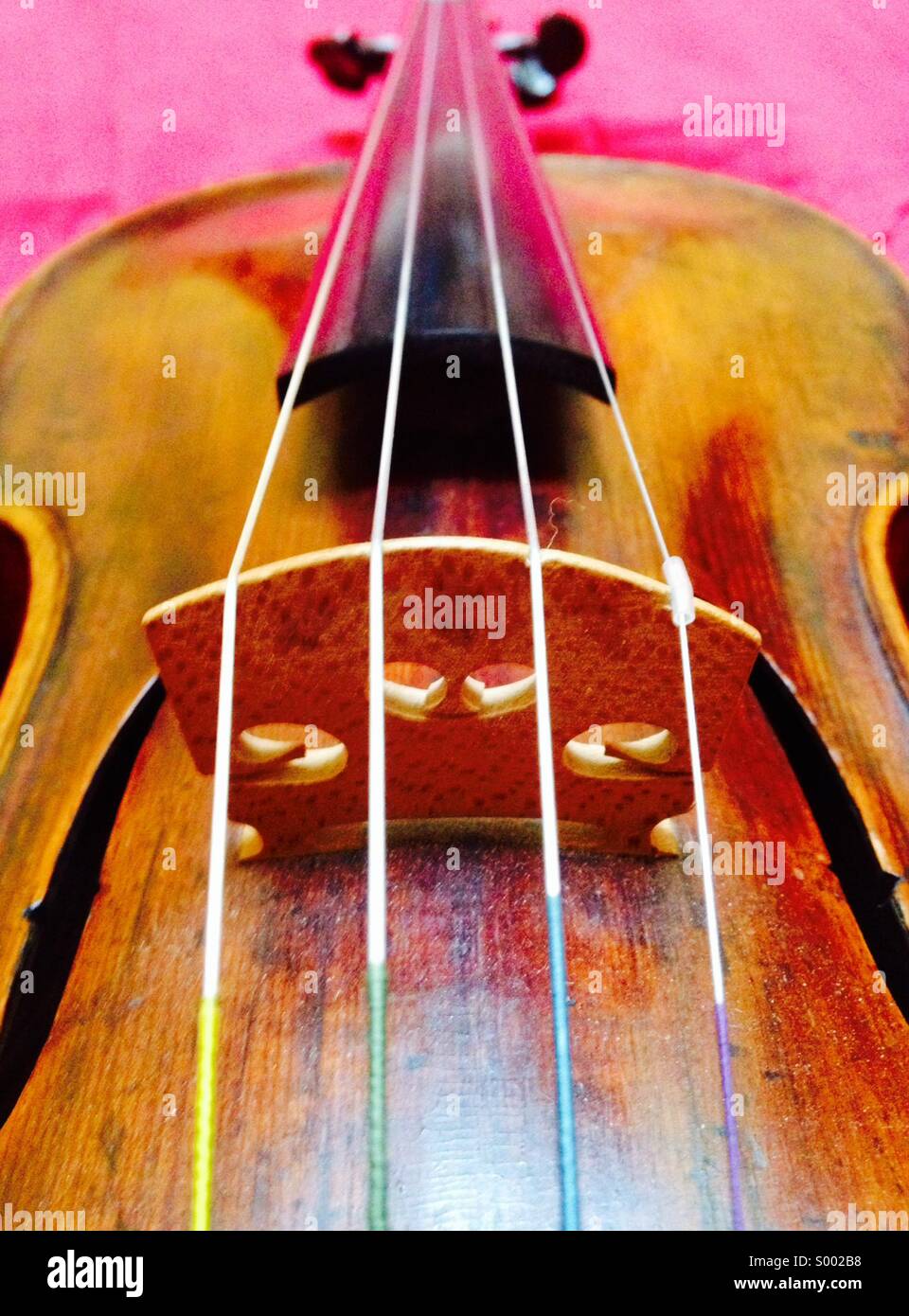 Violino, close up di stringhe e ponte Foto Stock
