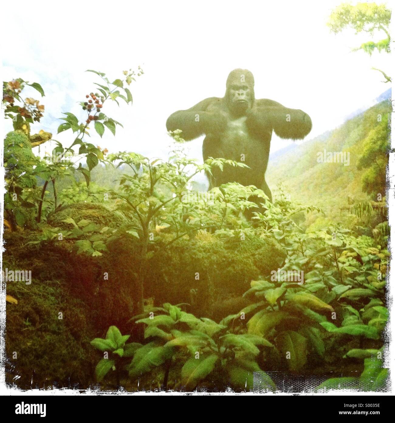 Un gorilla di falso in un ambiente verniciato Foto Stock
