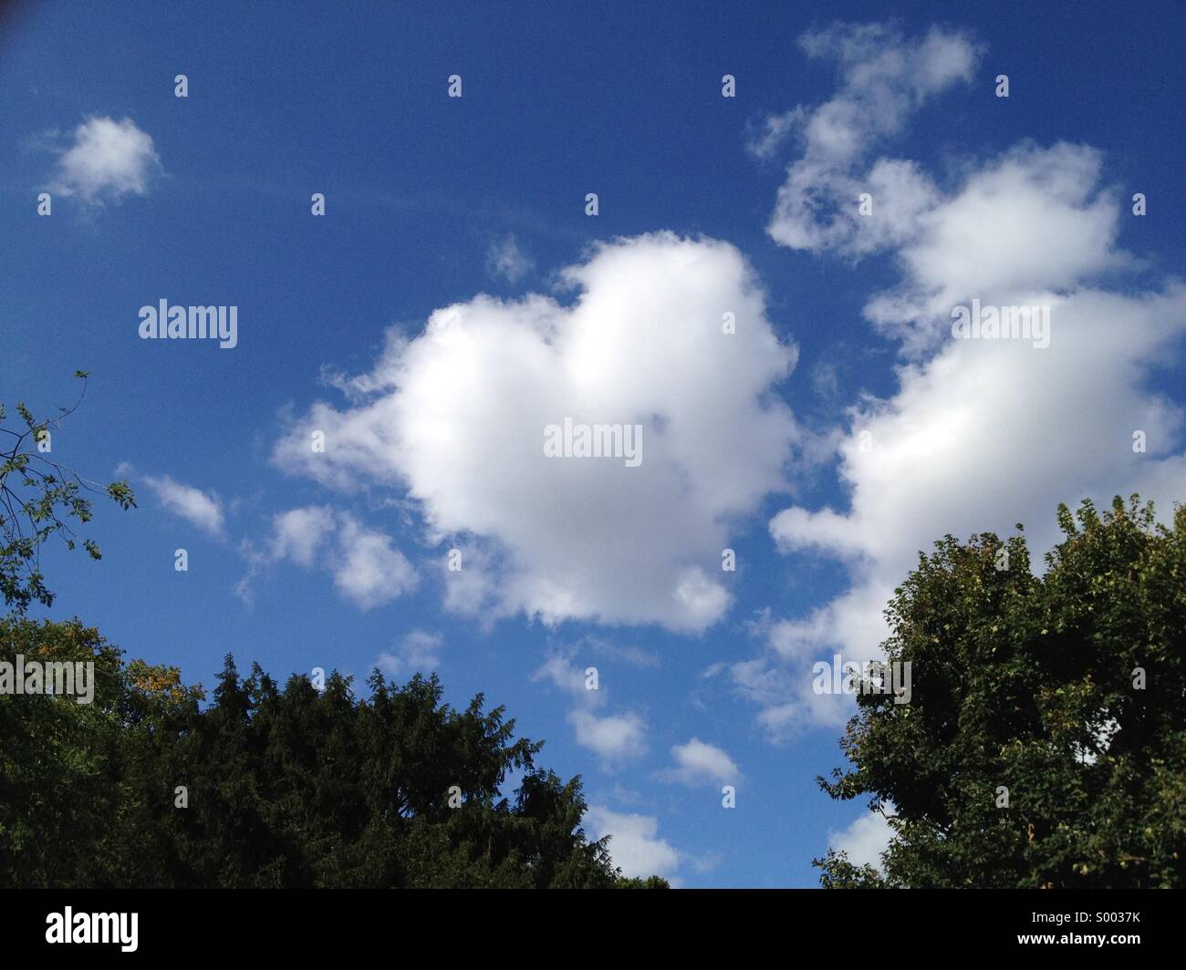 A forma di cuore ad nuvola nel cielo di Londra . Regno Unito Foto Stock
