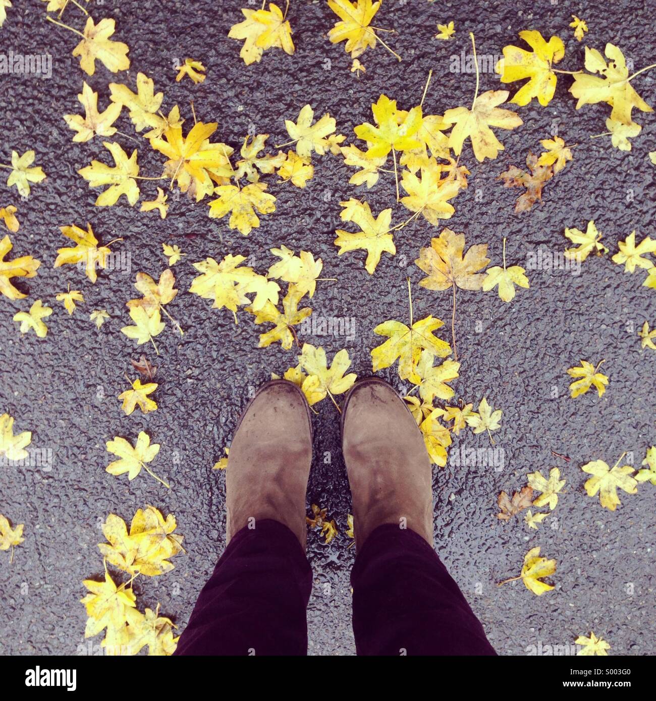 In piedi in foglie di autunno Foto Stock
