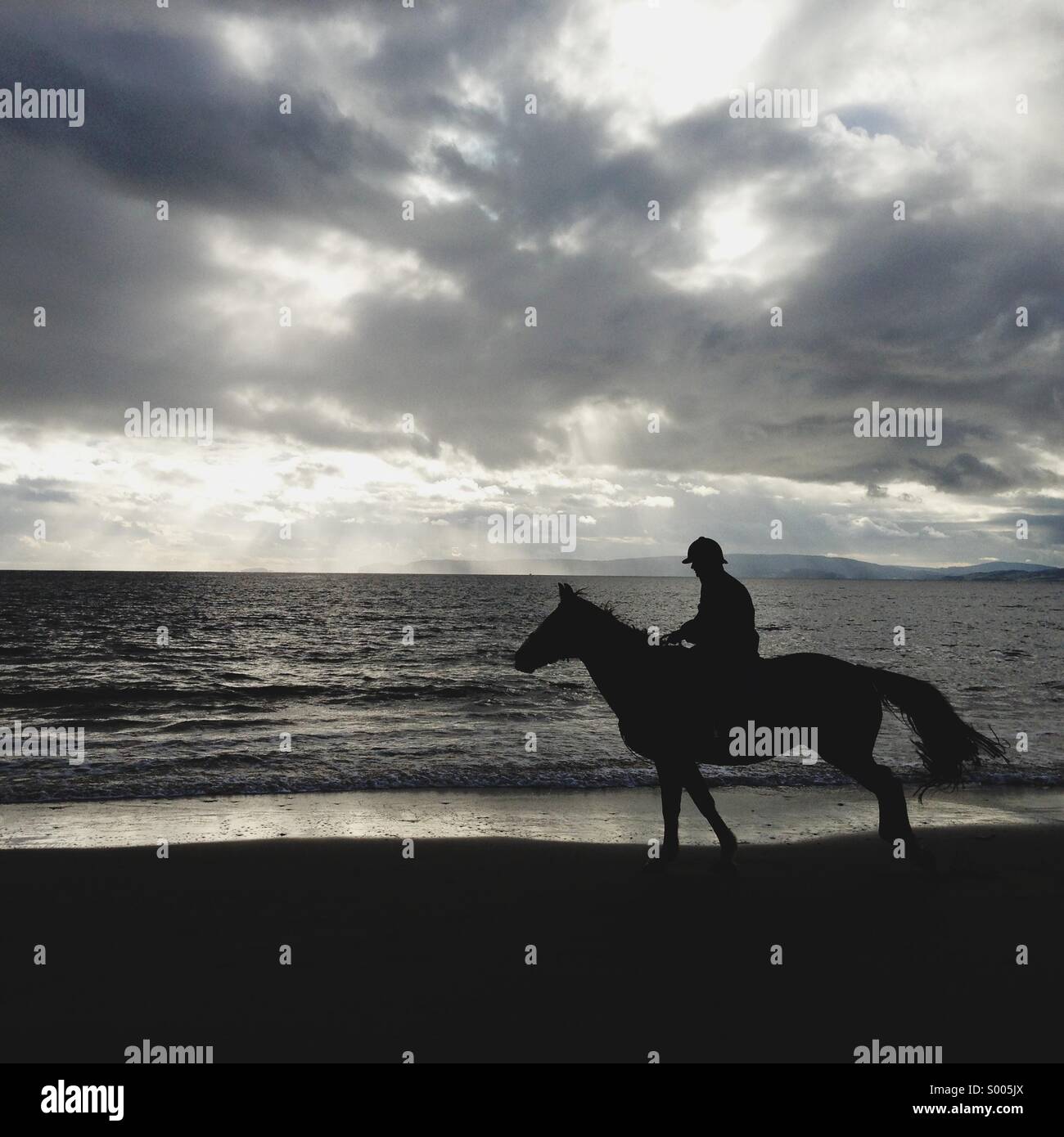Cavallo e cavaliere sulla spiaggia silhouette Foto Stock