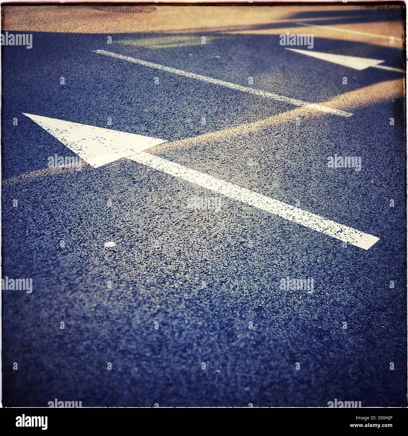 Una direzione segno di traffico. Frecce su strada asfaltata. Foto Stock