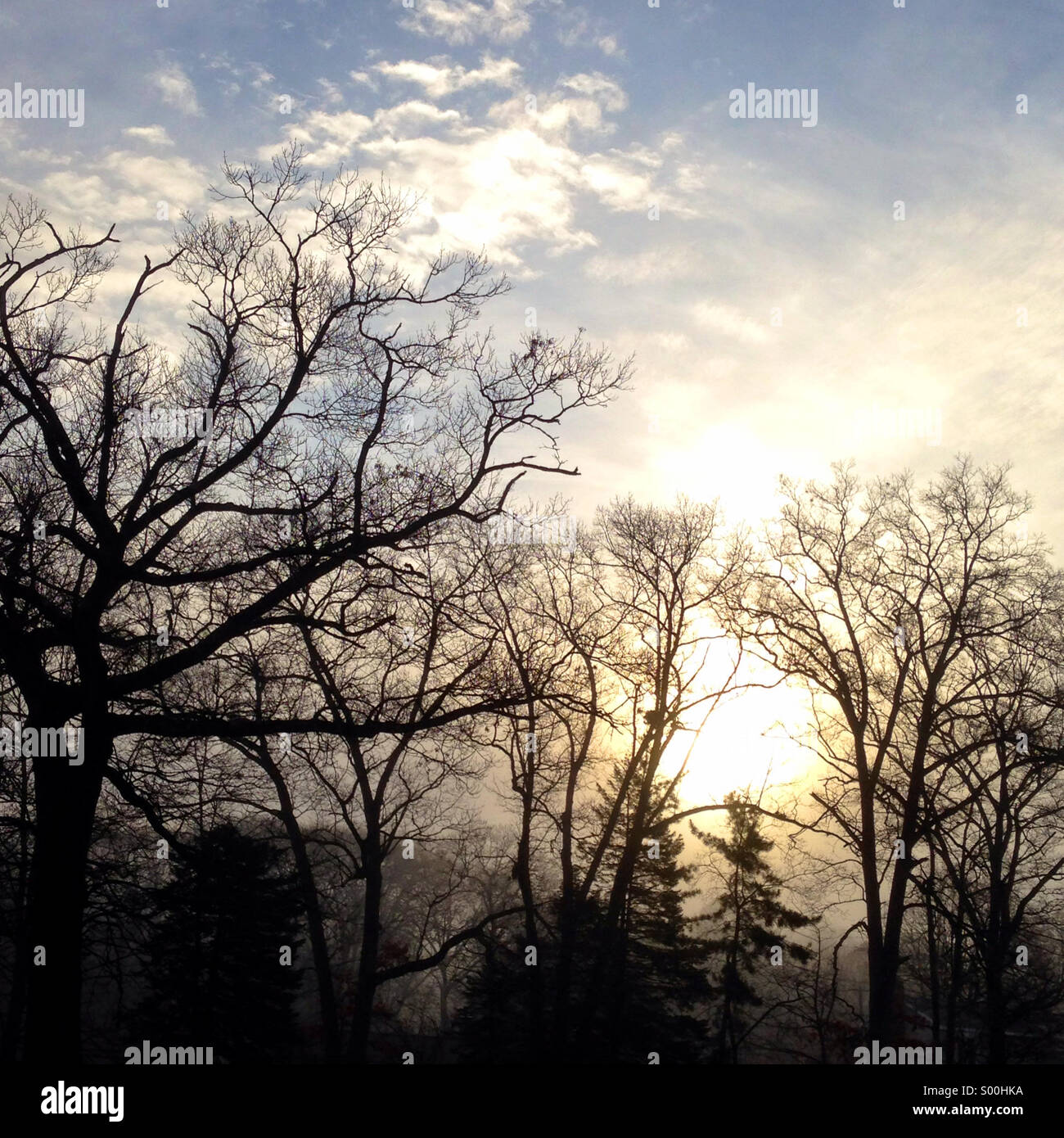 Sole di mattina bruciando nebbia. - Immagine stock catturata con smartphone