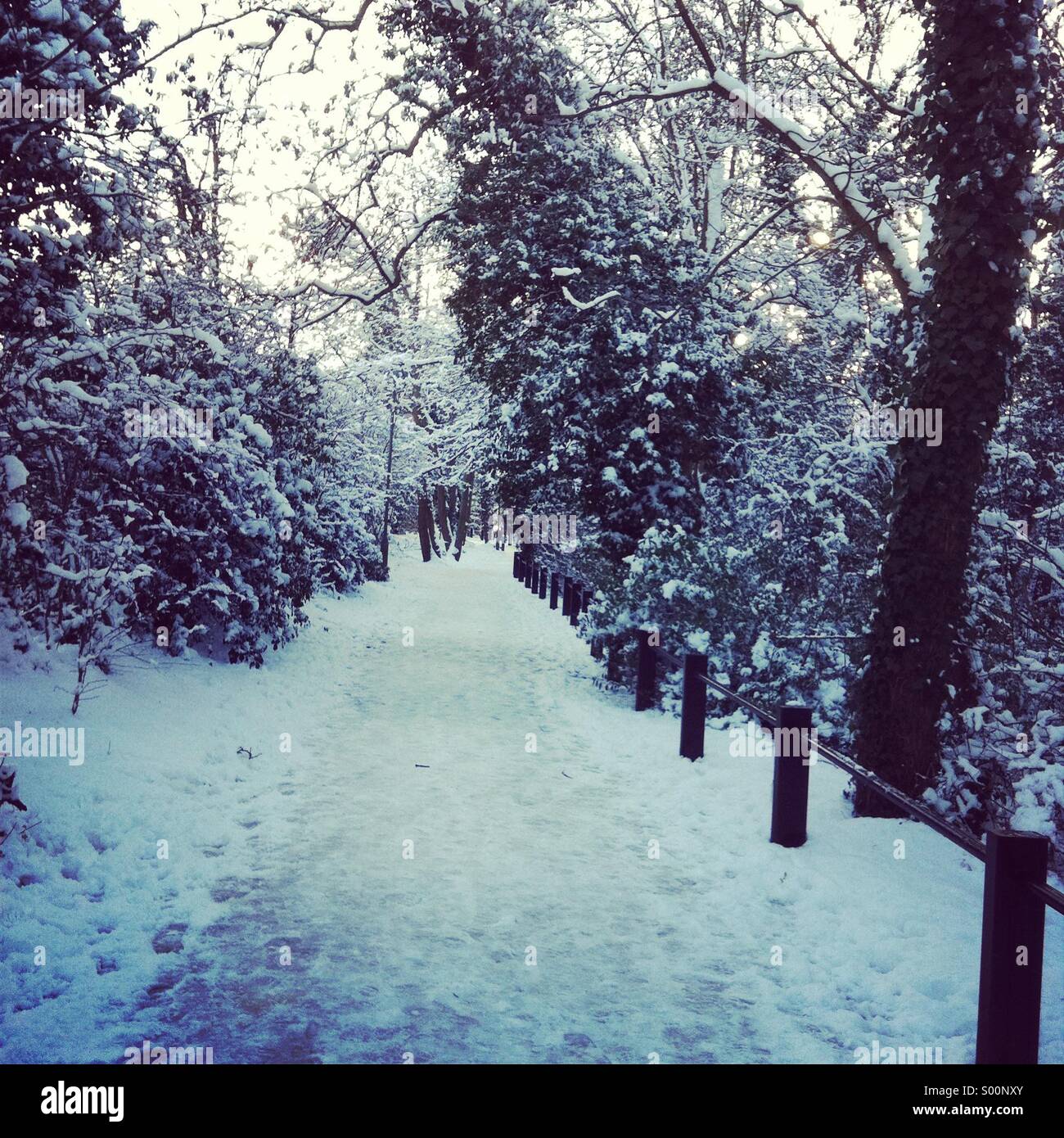 Percorso della neve Foto Stock