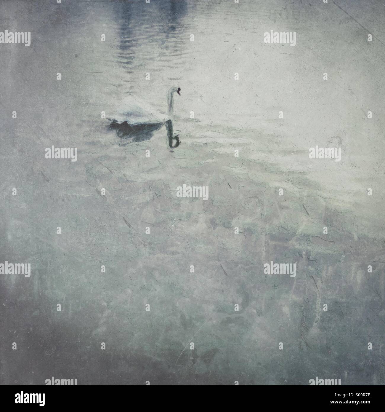 Swan scorrevolezza su un lago - minima trasformati in uno stile pittorica Foto Stock