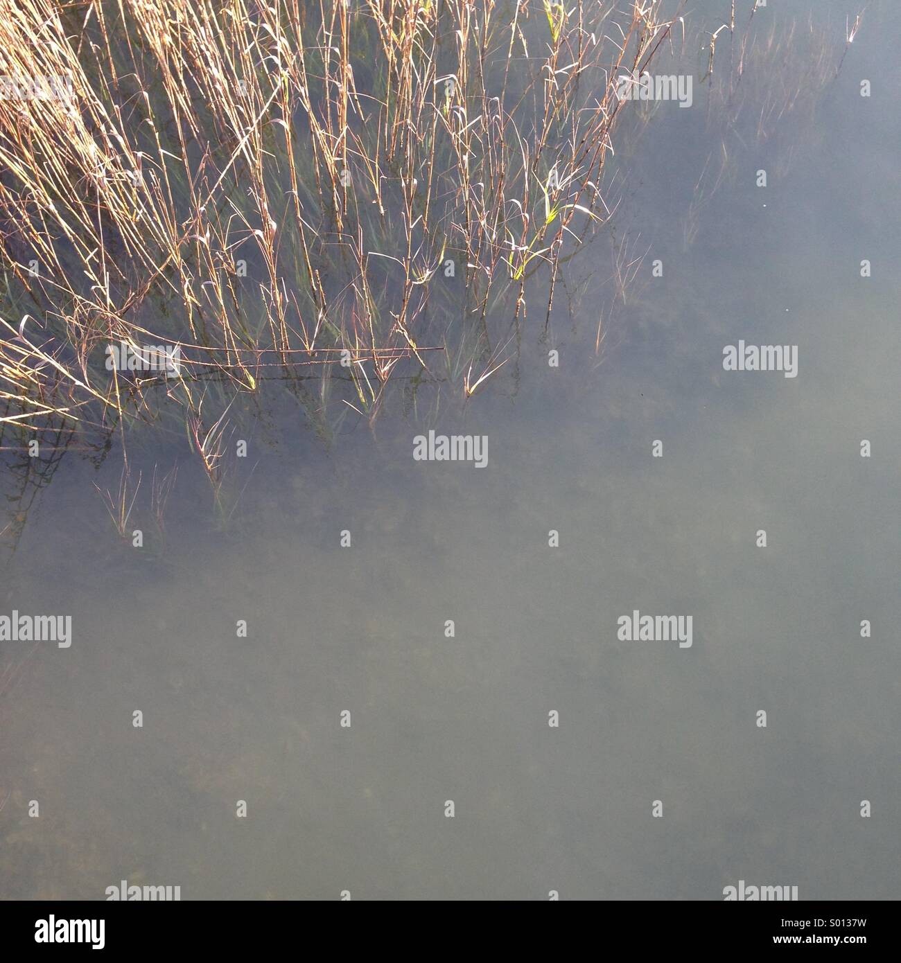 Close up abstract del fiume ancora a marea di quadratura. Foto Stock