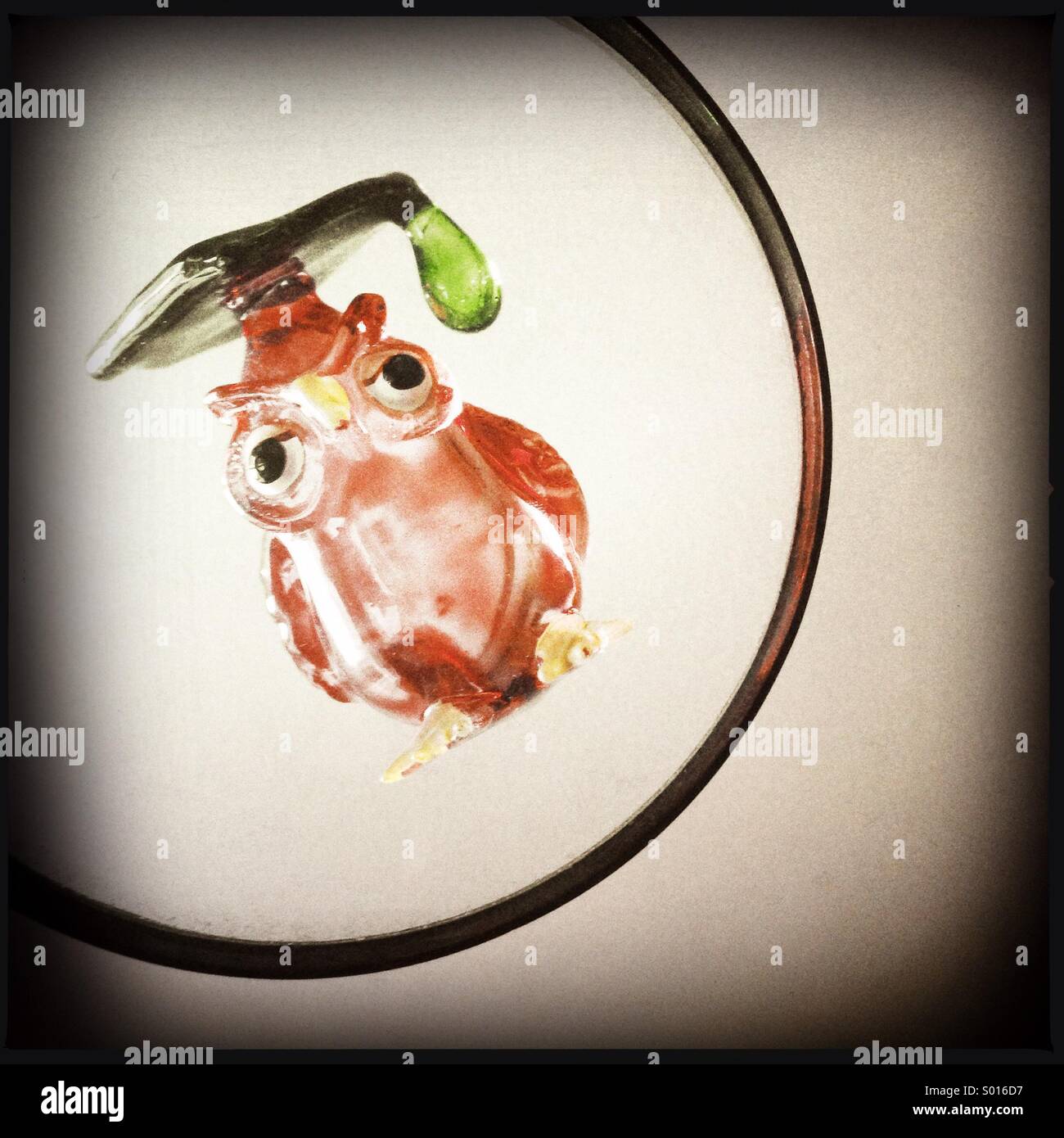 Un gufo dietro alla lente di ingrandimento - Immagine stock catturata con smartphone