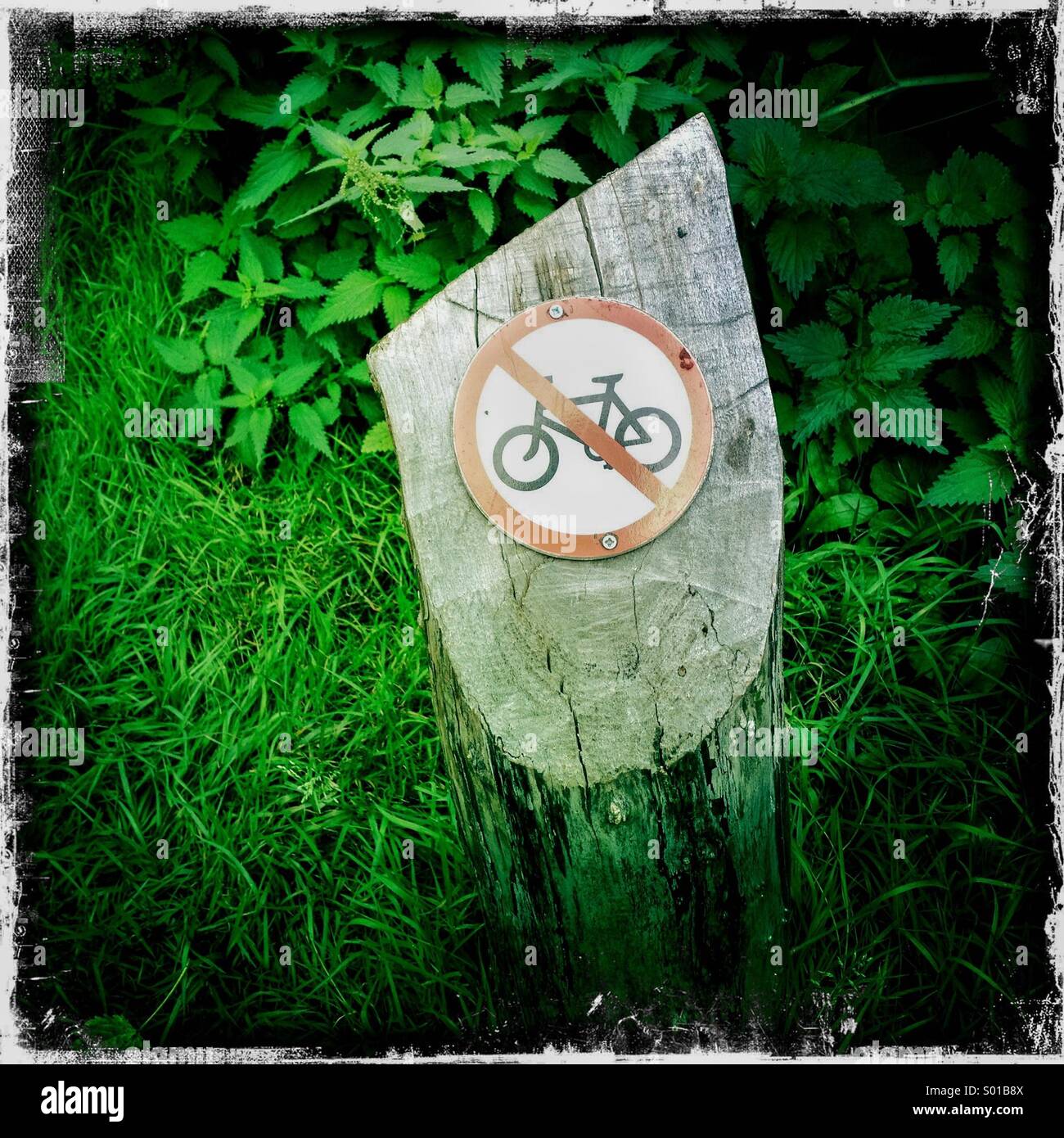 No cycling bike icona sul ceppo di albero. Hamptead Heath, Londra, Regno Unito. Hipstamatic, iPhone. Foto Stock