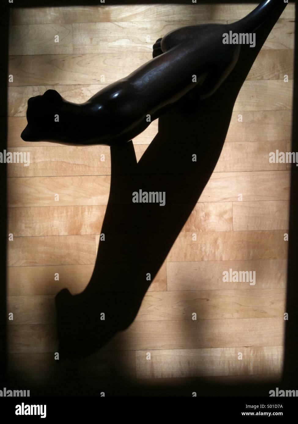 Un gatto nero's shadow - Immagine stock catturata con smartphone