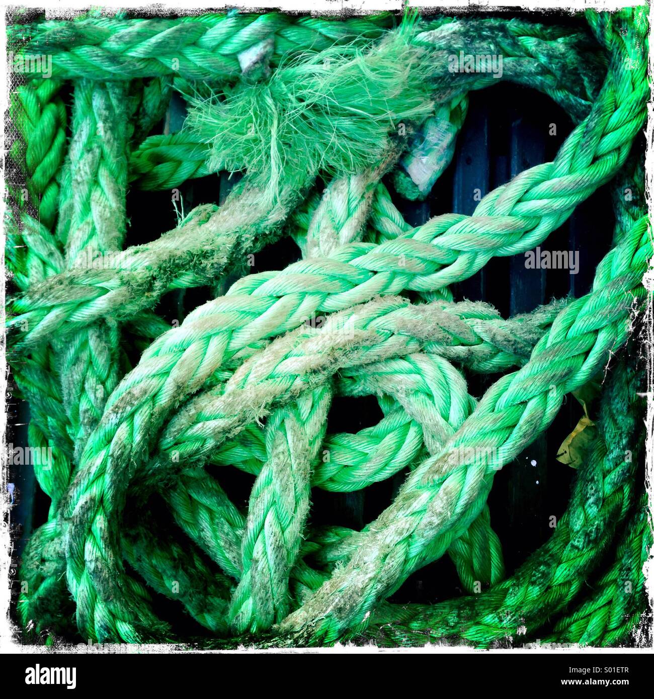 Corda della nave verde - Immagine stock catturata con smartphone