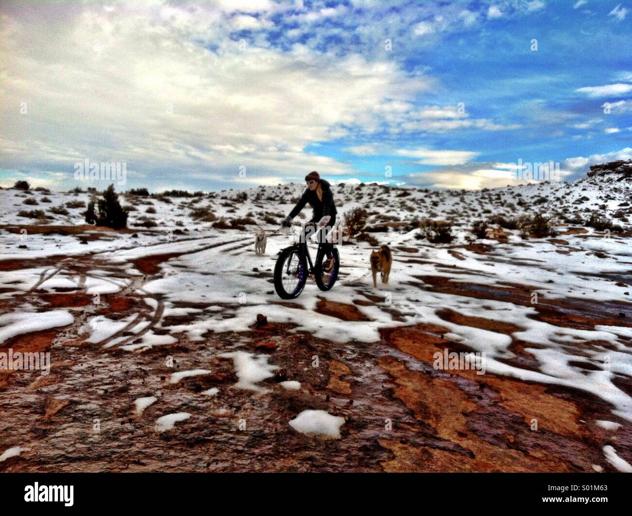Montare una donna corse fatbike mountain bike attraverso la neve su pietra arenaria in Moab Utah, seguita da un cane. Foto Stock