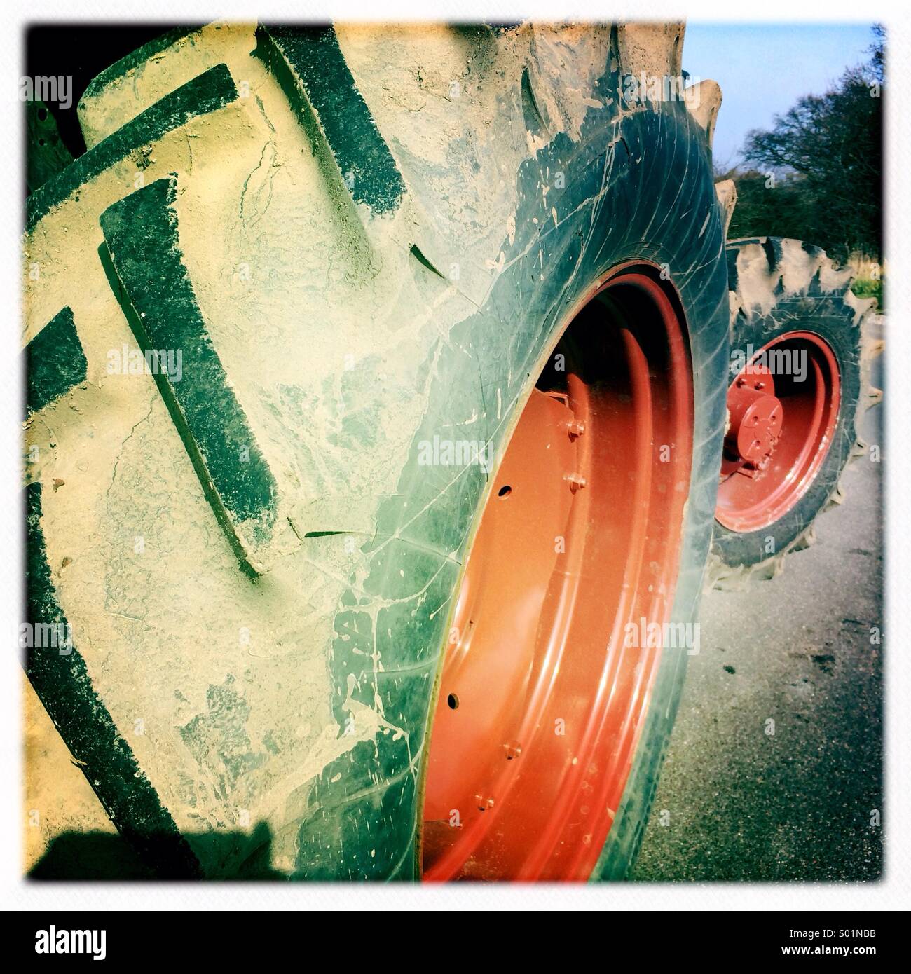 Enorme chunky e gomma grippy pneumatici del trattore coperto sto via lo sporco Foto Stock