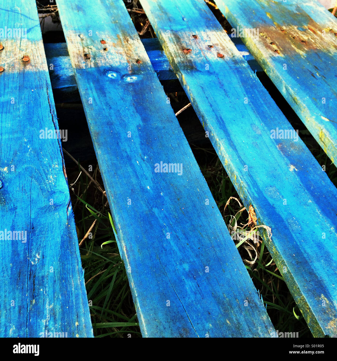 Pallet blu Foto Stock