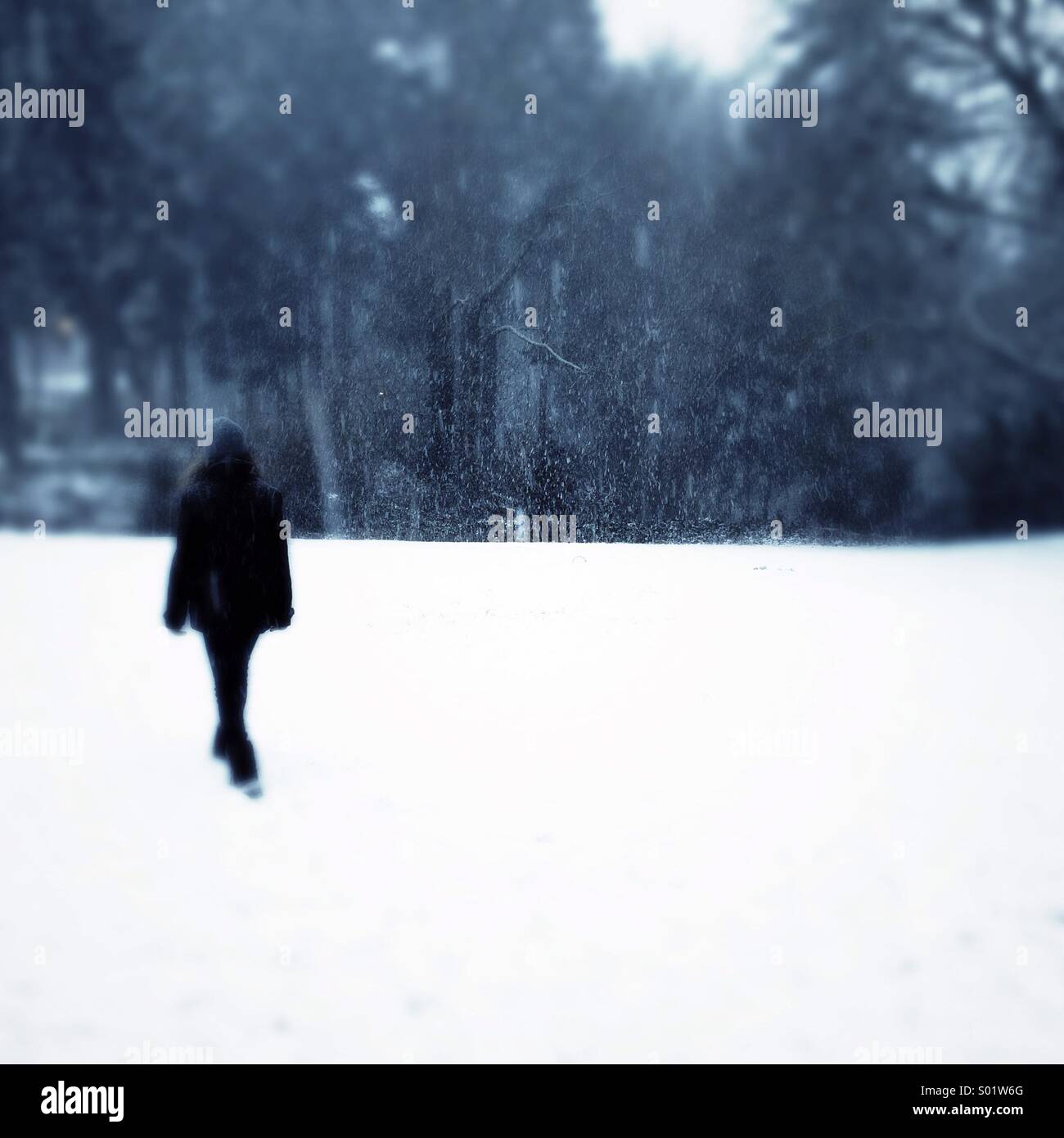 Ragazza camminare nella neve Foto Stock