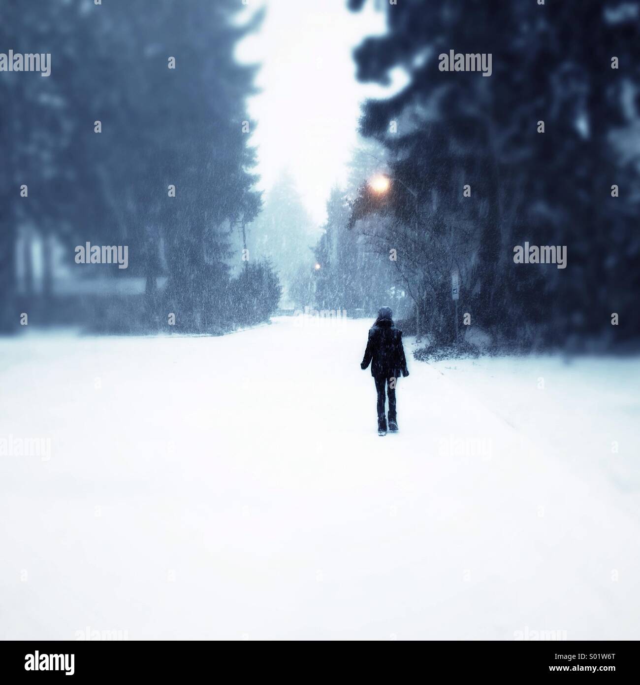 Ragazza camminare in tempesta di neve Foto Stock