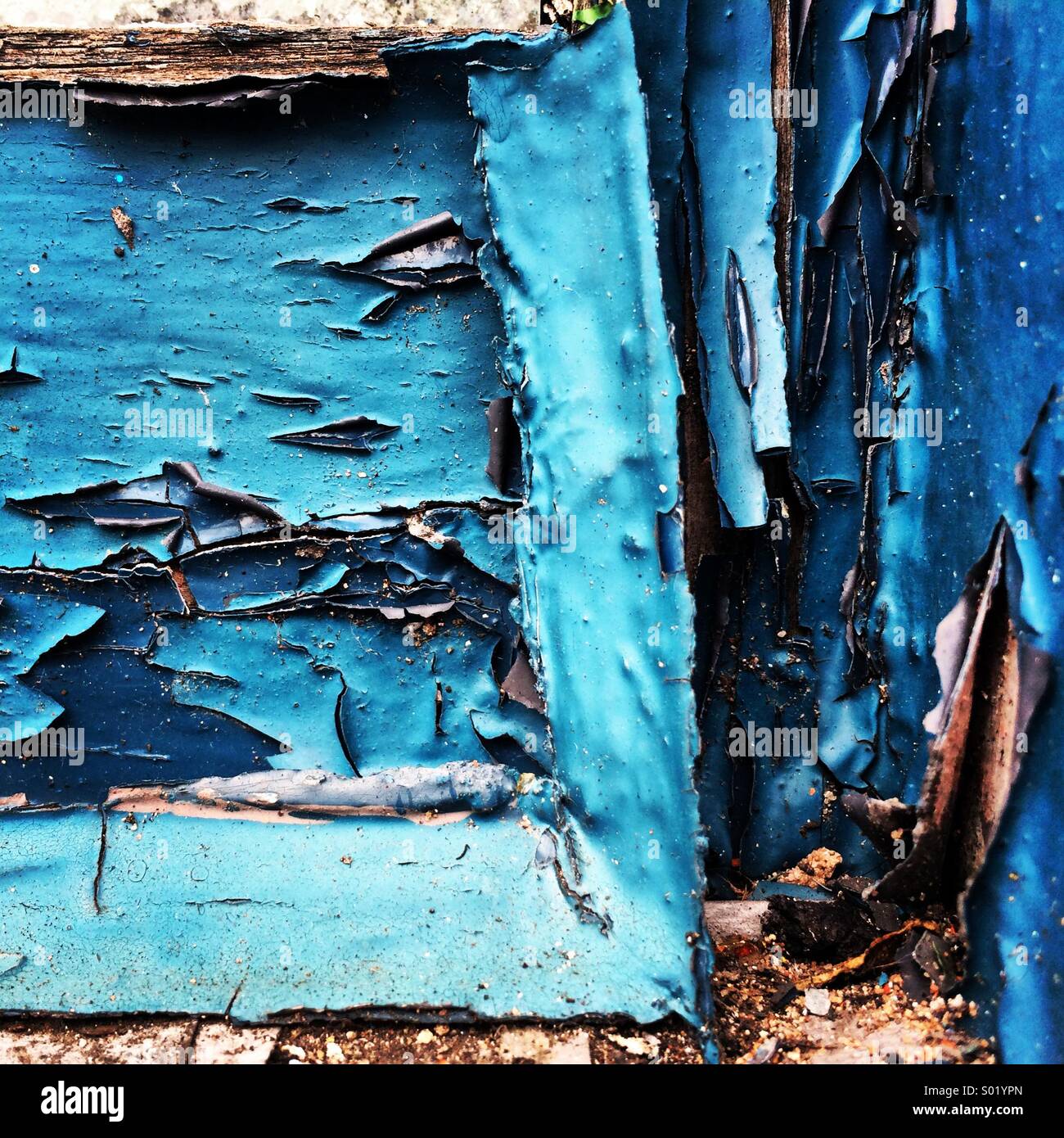Peeling vecchia vernice blu. Foto Stock