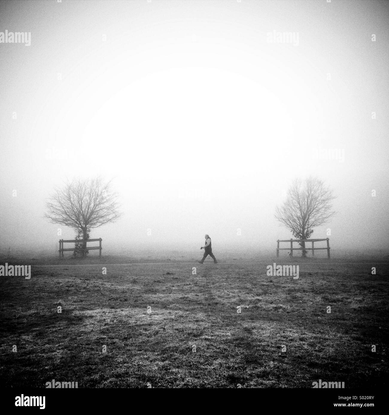 Passeggiando nella nebbia - singola figura maschile passi lungo un percorso tra i 2 alberi visti di lato Foto Stock