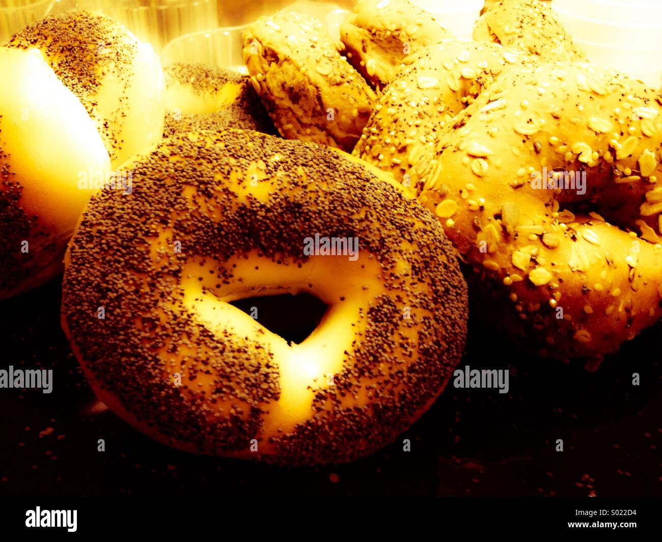 Bagel. Foto Stock