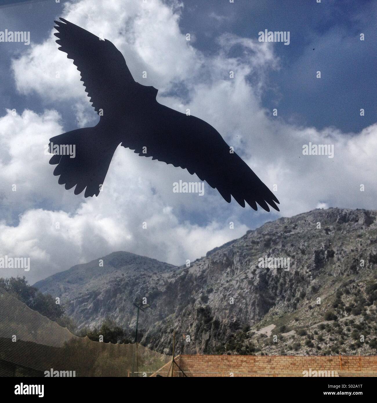 Un adesivo di uccelli di aquila utilizzato per evitare di bird-finestra collisioni è visualizzato in Villaluenga del Rosario, Parque Natural Sierra de Grazalema, Sierra di Cadice, Andalusia, Spagna Foto Stock