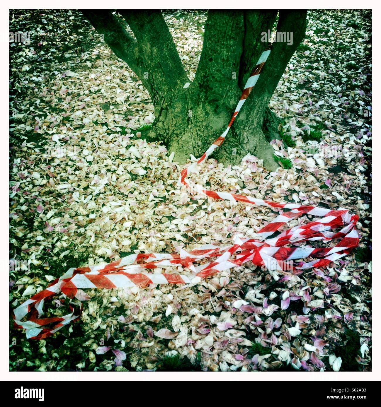 Composizione astratta giardino natura rosso verde erba ad albero Foto Stock