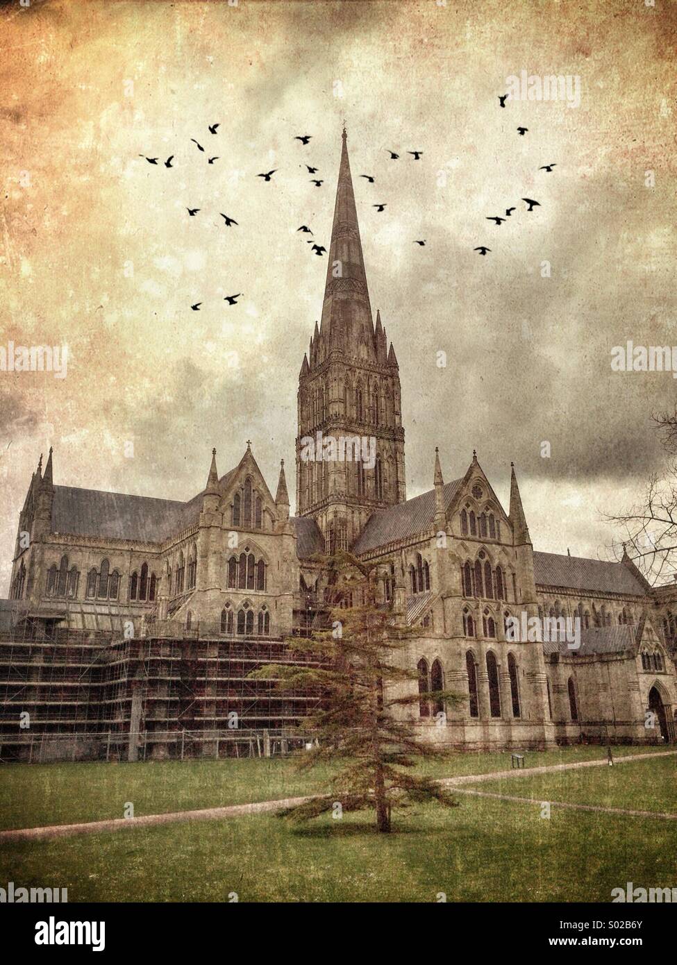 La Cattedrale di Salisbury Foto Stock