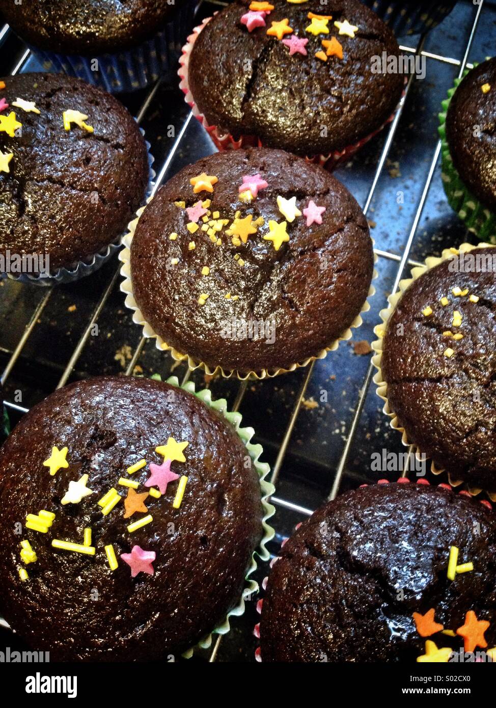 Pane appena sfornato tortini di cioccolato con a forma di stella spruzza Foto Stock