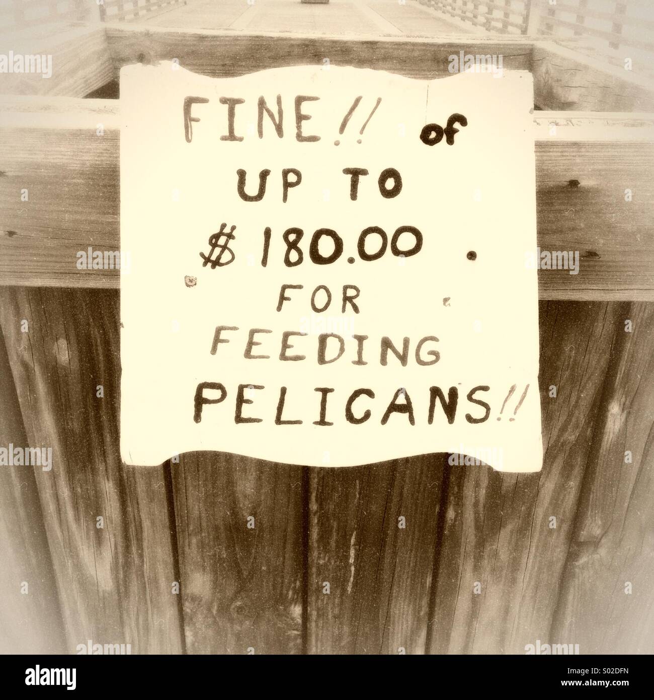 Segno sulla Spiaggia di Jacksonville la pesca del molo, Florida - Immagine stock catturata con smartphone