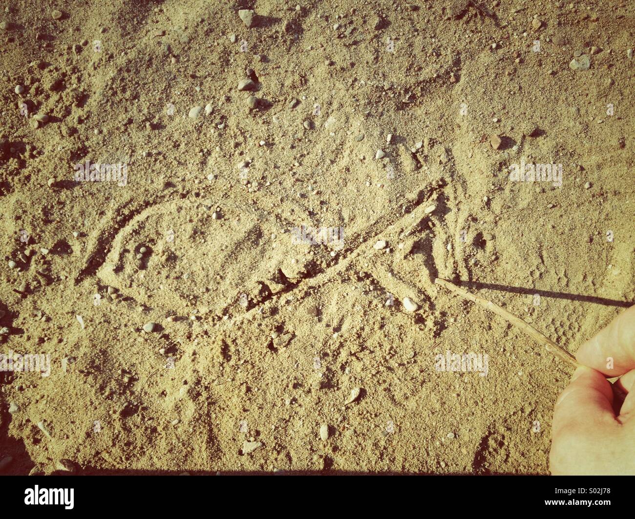 Disegno di segno di pesce sulla sabbia Foto stock - Alamy