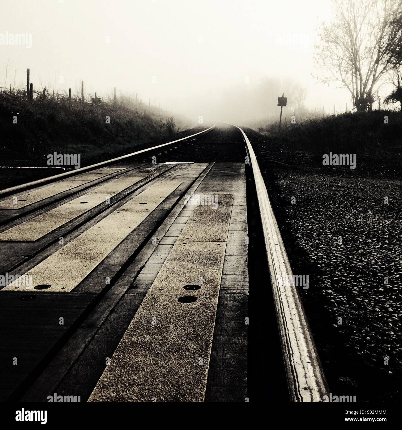 Linea ferroviaria nel mist (bianco e nero) Foto Stock