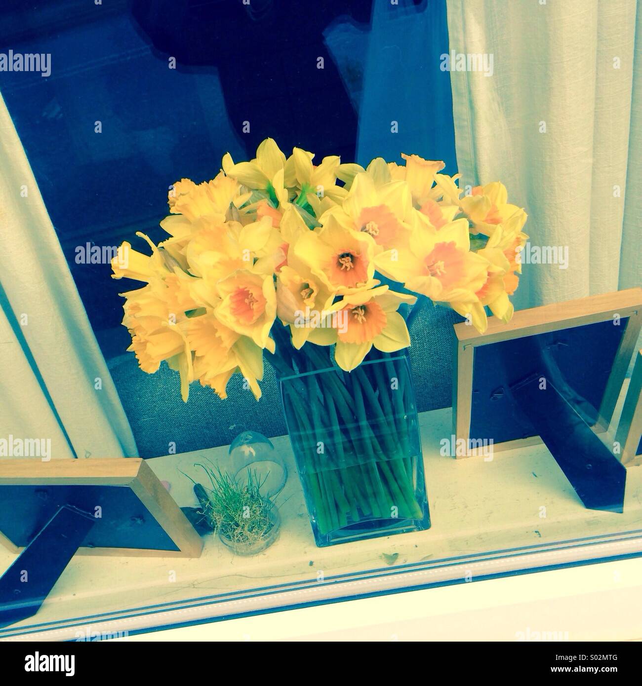 Finestra con vas di narcisi - Immagine stock catturata con smartphone