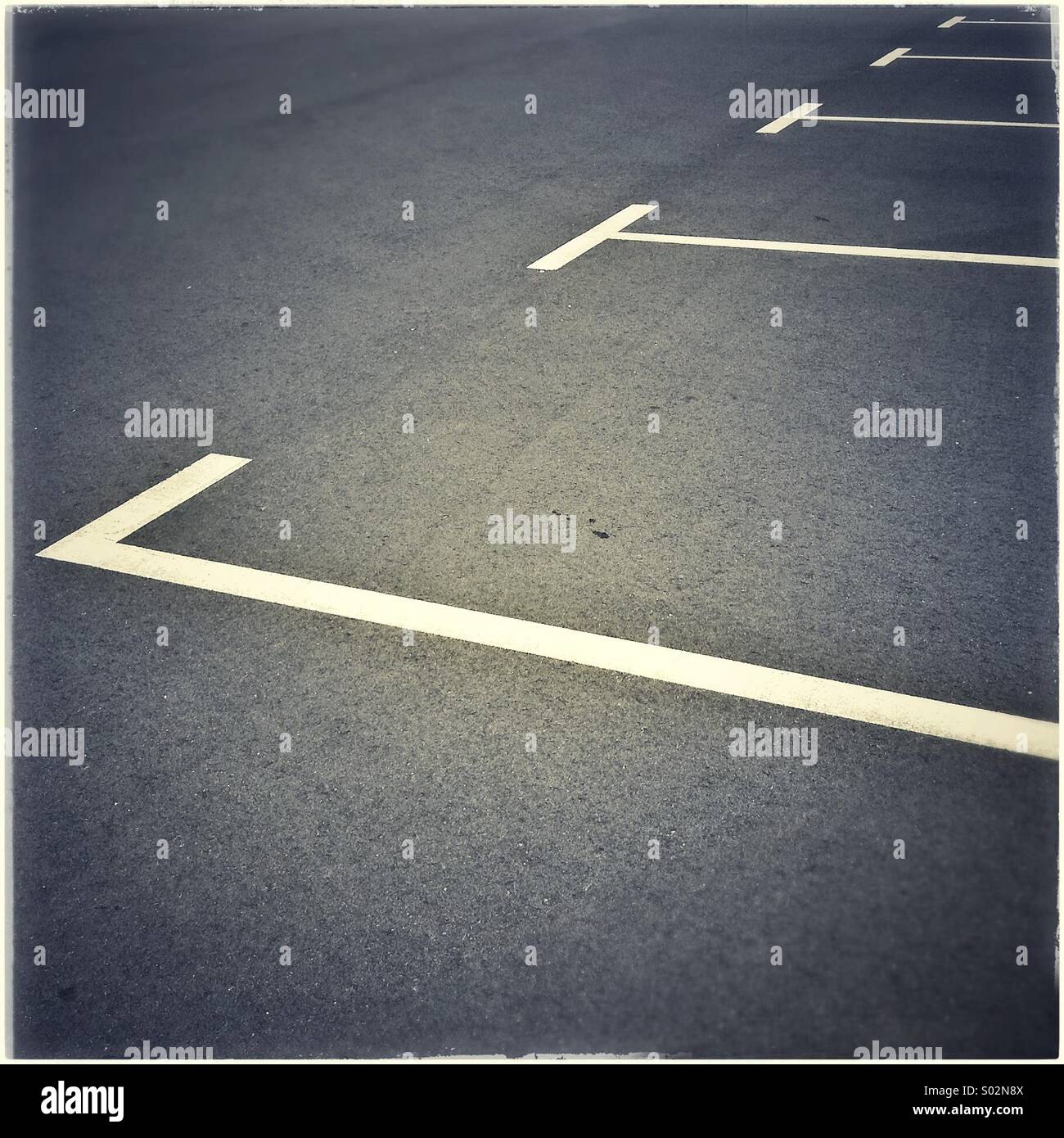 Parcheggio linee bianche su asfalto Foto Stock